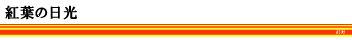 gt̓